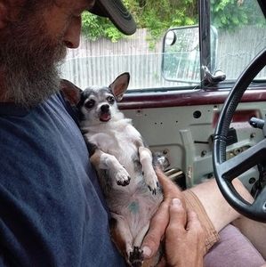 Meet your Posher, Roger